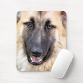 TAPIS DE SOURIS ALMAN SHEPHERD (Avec souris)