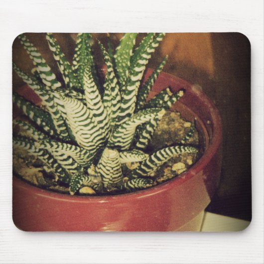 Tapis De Souris aloe (Devant)