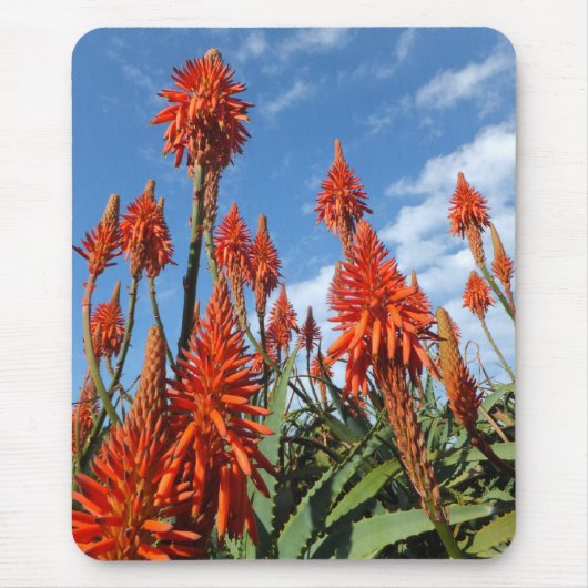 Tapis De Souris Aloe Arborescens mousepad (Devant)
