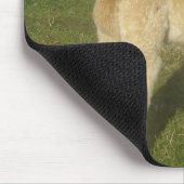 Tapis De Souris Alpaca (Coin)