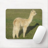 Tapis De Souris Alpaca (Avec souris)