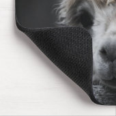 Tapis de souris Alpaca curieux (Coin)