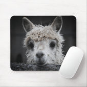 Tapis de souris Alpaca curieux (Avec souris)