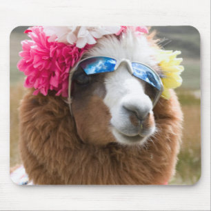 Tapis De Souris Alpaca, Pachacoto, Cordillère Blanca, Ancash