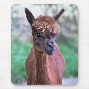 Tapis de souris Alpacca marron