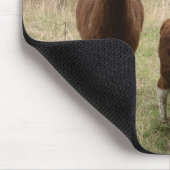 Tapis De Souris Alpaga Brown mignons dans le zoo (Coin)