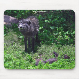 Tapis De Souris Alpha Timbre Wolf & Grey Wolf Cub Wildlife Art