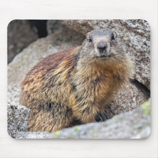 Tapis de souris alpin de Marmot (Devant)