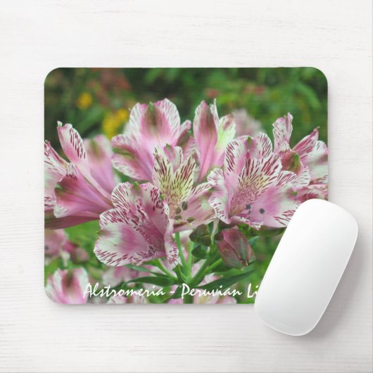 Tapis De Souris Alstromeria rose et blanc Mousepad (Avec souris)