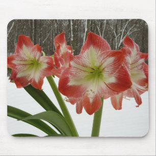 Tapis De Souris Amaryllis en Fête Rouge Neige Hiver Floral
