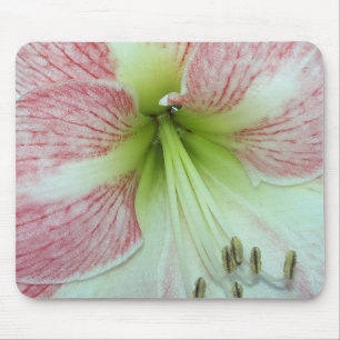 Tapis De Souris Amaryllis Fleur de Pommier Ouverte