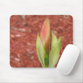 Tapis De Souris Amaryllis Pomme bourgeon fleur (Avec souris)