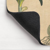 Tapis De Souris Amaryllis Tulip Jardin Botanique Fleur (Coin)