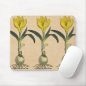Tapis De Souris Amaryllis Tulip Jardin Botanique Fleur (Avec souris)