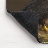 Tapis De Souris AMÉRICAINE BALD EAGLE Mousepad série (Coin)