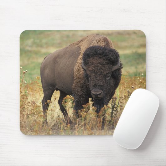 Tapis De Souris American bison (Avec souris)