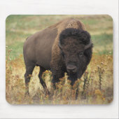 Tapis De Souris American bison (Devant)