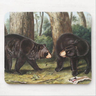 Tapis De Souris American Black Bear Ursus Americanus Illustration