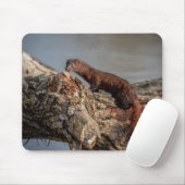 Tapis De Souris American Mink (Avec souris)