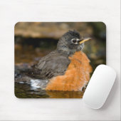 Tapis De Souris American Robin bain 2 (Avec souris)