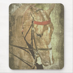 Tapis De Souris American Saddlebred