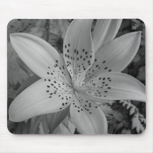 Tapis De Souris American Tiger Lily (Devant)