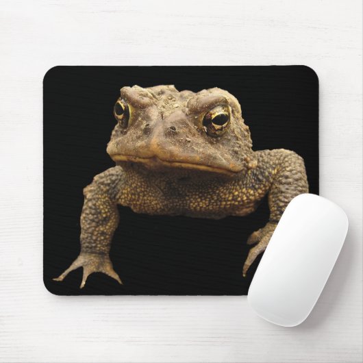 Tapis De Souris American Toad (Avec souris)
