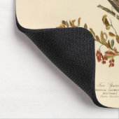 Tapis De Souris American Tree Sparrow, les oiseaux d'Amérique d'Au (Coin)