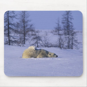 Tapis De Souris Amérique du Nord, Canada, Manitoba, Churchill