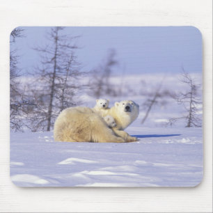Tapis De Souris Amérique du Nord, Canada, Manitoba, Churchill. 9