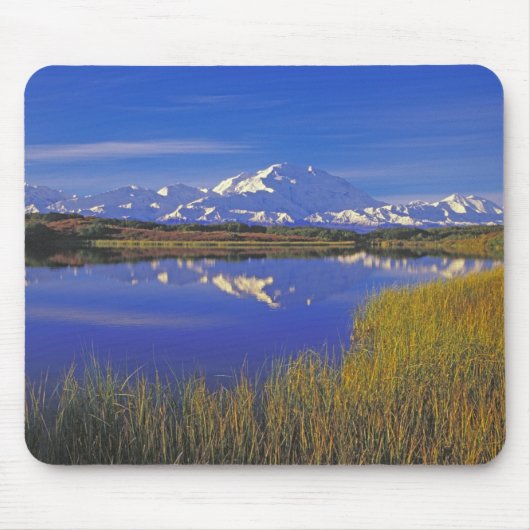 Tapis De Souris Amérique du Nord, États-Unis, Alaska, Denali NP, (Devant)