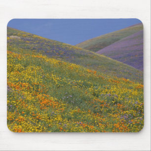 Tapis De Souris Amérique du Nord, États-Unis, Californie, Los Ange
