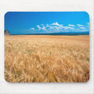 Tapis De Souris Amérique du Nord, États-Unis, Idaho. Champ d'orge 