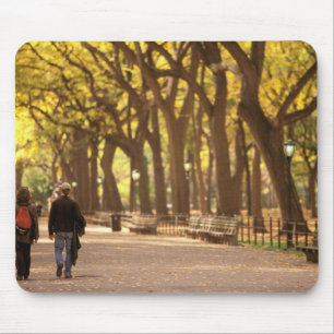Tapis De Souris Amérique du Nord, États-Unis, New York, New York.1