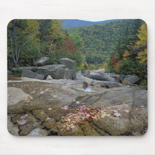 Tapis De Souris Amérique du Nord, États-Unis, NH, Fall folios in N (Devant)