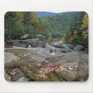 Tapis De Souris Amérique du Nord, États-Unis, NH, Feuillage d'auto