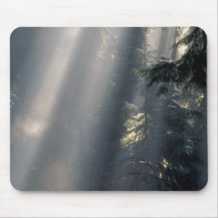 Tapis De Souris Amérique du Nord, États-Unis, Washington, Parc nat
