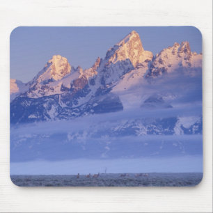 Tapis De Souris Amérique du Nord, États-Unis, Wyoming, Grand Teton