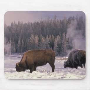 Tapis De Souris Amérique du Nord, États-Unis, Wyoming, Yellowstone