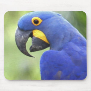Tapis De Souris Amérique du Sud, Brésil, Pantanal