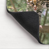 Tapis De Souris Amérique du Sud, Equateur, Amazonie. Ocelot (Coin)