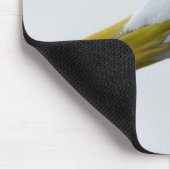 Tapis De Souris Amical Seagull ? (Coin)