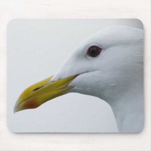 Tapis De Souris Amical Seagull ? (Devant)