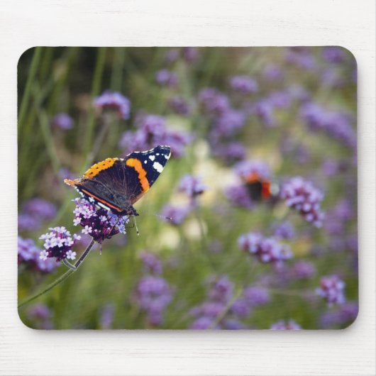 Tapis De Souris Amiral rouge papillon (Devant)