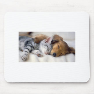 Tapis De Souris Amis de sommeil
