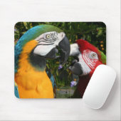 Tapis De Souris Amis Mousepad d'ara (Avec souris)
