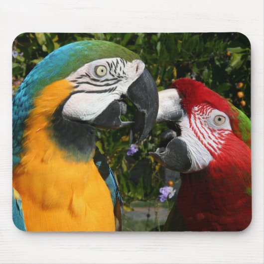 Tapis De Souris Amis Mousepad d'ara (Devant)