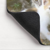 Tapis De Souris Amis Mousepad de chaton (Coin)