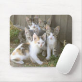 Tapis De Souris Amis Mousepad de chaton (Avec souris)