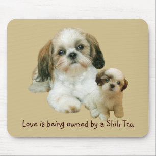 Tapis De Souris Amis Mousepad de Shih Tzu